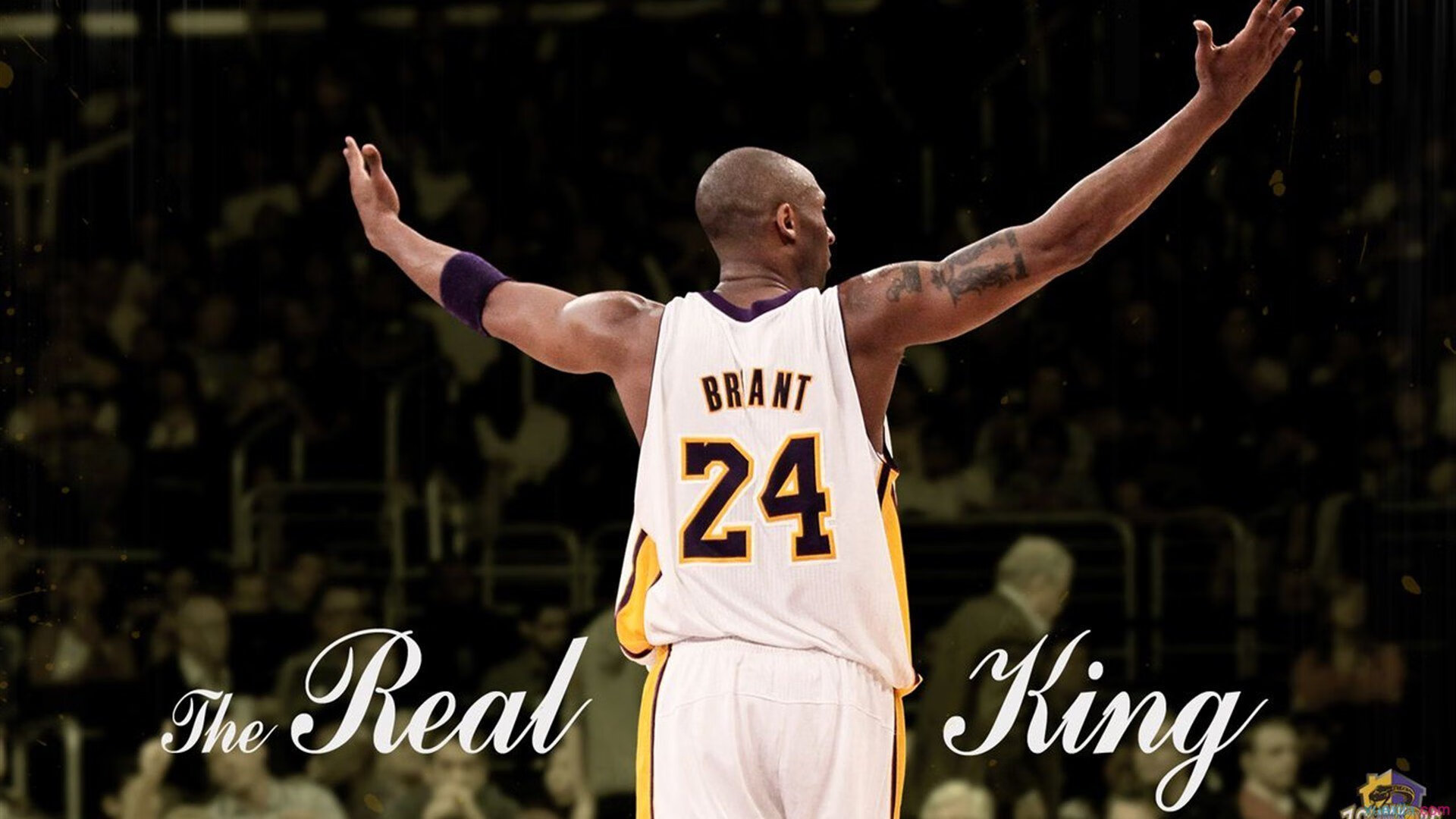 德甲创新应用技术，精彩瞬间频频出现，德甲体系